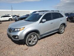 Vehiculos salvage en venta de Copart Phoenix, AZ: 2012 KIA Sorento EX