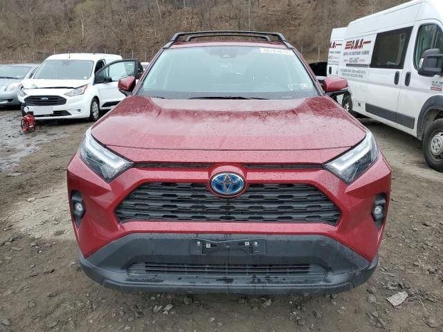 2023 Toyota Rav4 XLE Premium