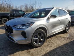 Salvage cars for sale from Copart Leroy, NY: 2024 Ford Escape ST Line