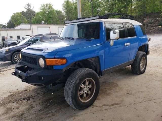 2007 Toyota FJ Cruiser