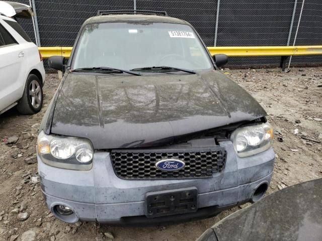 2005 Ford Escape XLT