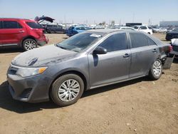 Salvage cars for sale at Brighton, CO auction: 2013 Toyota Camry L