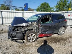 Salvage cars for sale from Copart Walton, KY: 2016 Ford Escape SE