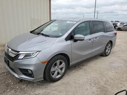 Salvage cars for sale at Temple, TX auction: 2020 Honda Odyssey EXL