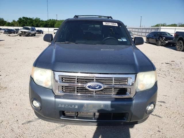 2010 Ford Escape XLT