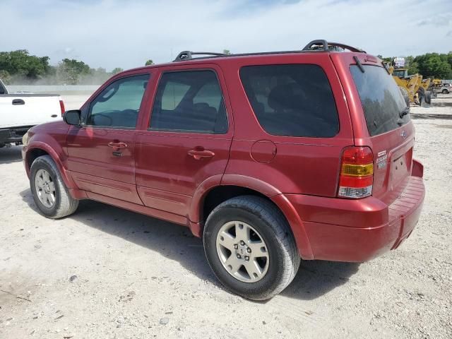 2006 Ford Escape Limited