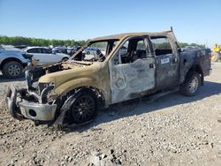 Salvage trucks for sale at Memphis, TN auction: 2010 Ford F150 Supercrew