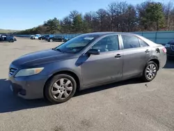 Salvage cars for sale at Brookhaven, NY auction: 2010 Toyota Camry Base