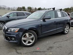 Audi Q5 salvage cars for sale: 2012 Audi Q5 Premium Plus