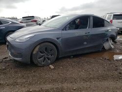 2023 Tesla Model Y en venta en Elgin, IL