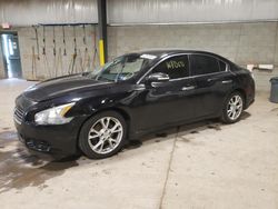 Salvage cars for sale from Copart Chalfont, PA: 2013 Nissan Maxima S