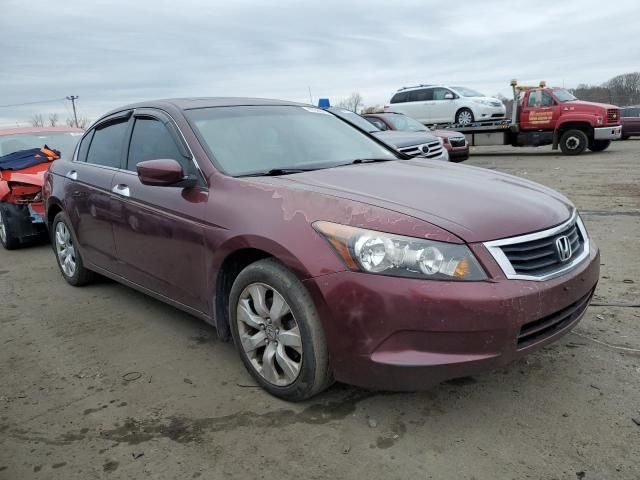 2008 Honda Accord EXL