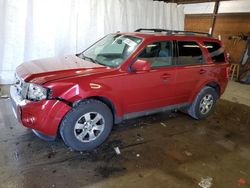 Salvage cars for sale at Ebensburg, PA auction: 2010 Ford Escape Limited