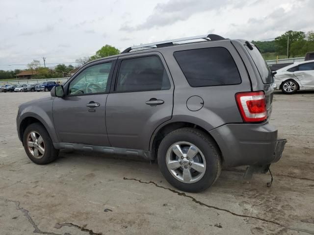 2011 Ford Escape Limited