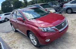 Salvage cars for sale from Copart Riverview, FL: 2010 Lexus RX 450