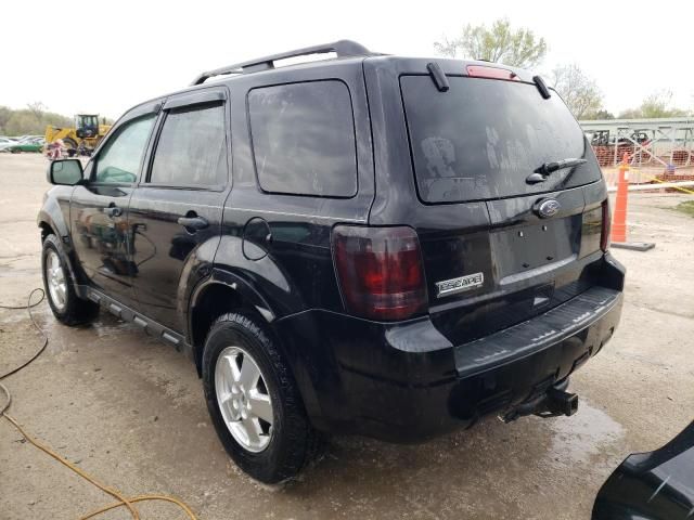 2011 Ford Escape XLT