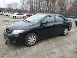 Salvage cars for sale at Candia, NH auction: 2011 Toyota Corolla Base