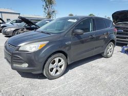 Ford Escape SE salvage cars for sale: 2016 Ford Escape SE