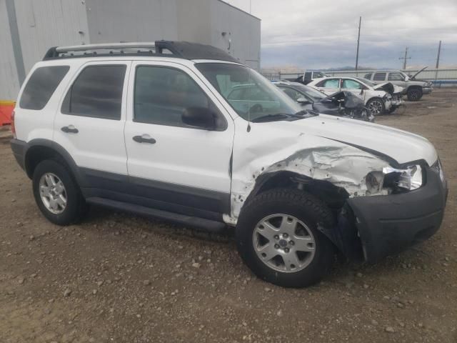 2004 Ford Escape XLT