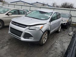 Salvage cars for sale from Copart Albany, NY: 2016 Ford Escape SE