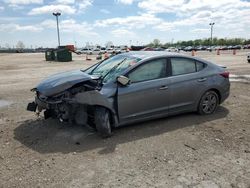 Salvage cars for sale at Indianapolis, IN auction: 2019 Hyundai Elantra SEL