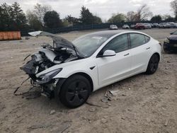 Salvage cars for sale at Madisonville, TN auction: 2023 Tesla Model 3