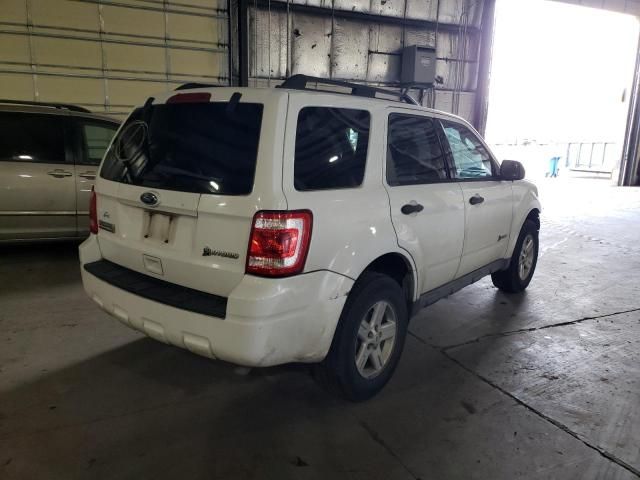 2010 Ford Escape Hybrid