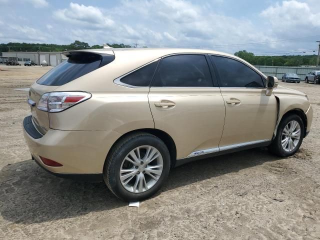 2010 Lexus RX 450