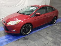 Ford Focus salvage cars for sale: 2012 Ford Focus SE