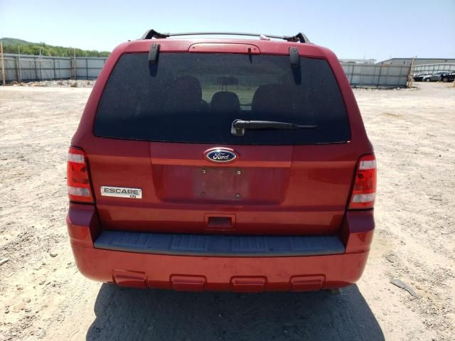 2010 Ford Escape XLT