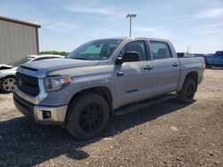 Salvage cars for sale from Copart Temple, TX: 2021 Toyota Tundra Crewmax SR5