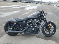 Salvage motorcycles for sale at Kansas City, KS auction: 2017 Harley-Davidson XL883 Iron 883