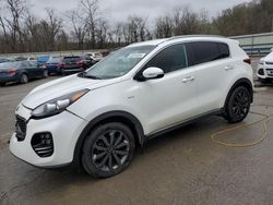 Salvage cars for sale from Copart Ellwood City, PA: 2019 KIA Sportage EX