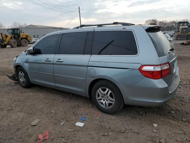 2005 Honda Odyssey EXL