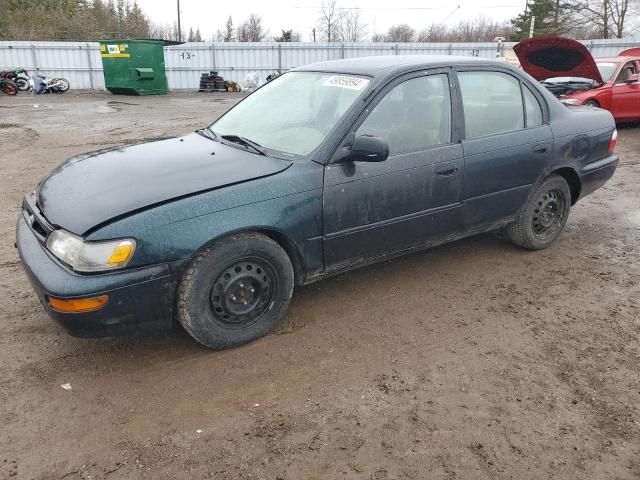 1996 Toyota Corolla DX