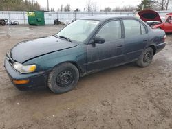 Salvage cars for sale at Bowmanville, ON auction: 1996 Toyota Corolla DX