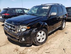 Salvage cars for sale at Elgin, IL auction: 2010 Ford Escape XLT