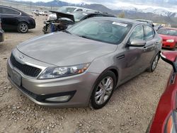 KIA Optima ex salvage cars for sale: 2013 KIA Optima EX