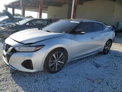 Salvage cars for sale from Copart Homestead, FL: 2019 Nissan Maxima S