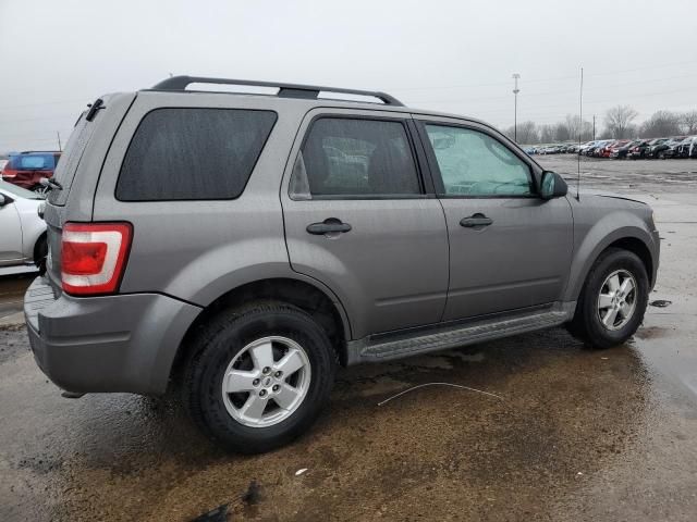 2009 Ford Escape XLT