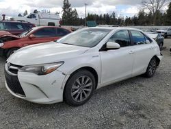 Salvage cars for sale from Copart Graham, WA: 2016 Toyota Camry Hybrid