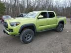 2022 Toyota Tacoma Double Cab