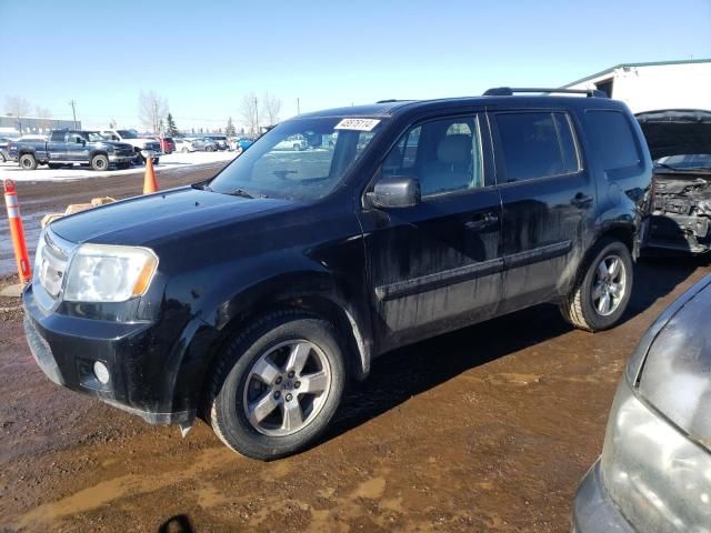 2011 Honda Pilot EXL