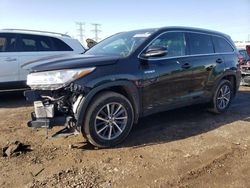 Toyota Highlander salvage cars for sale: 2019 Toyota Highlander Hybrid