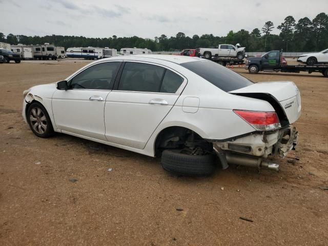 2010 Honda Accord EXL