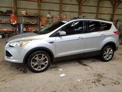 Salvage cars for sale at London, ON auction: 2014 Ford Escape SE