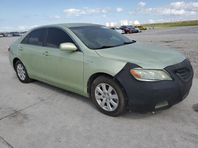 2008 Toyota Camry Hybrid