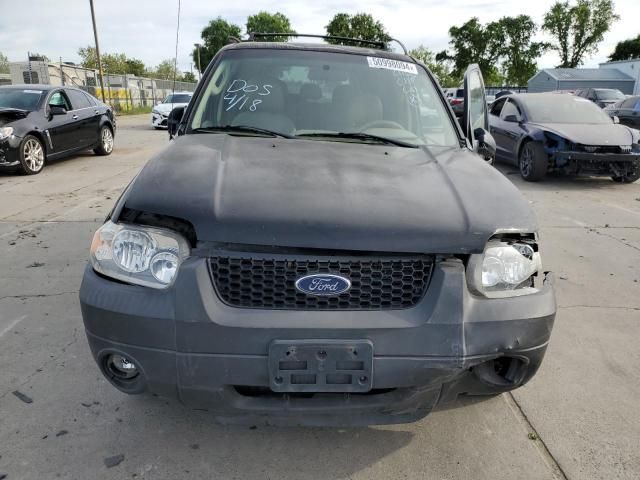 2006 Ford Escape XLT