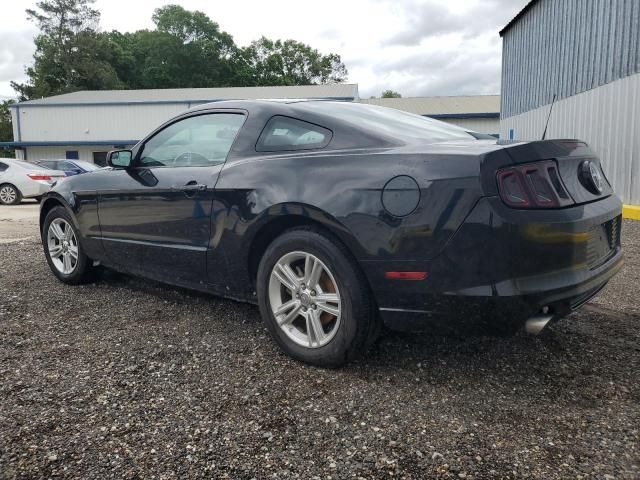 2013 Ford Mustang