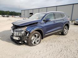 Salvage cars for sale from Copart Apopka, FL: 2023 Hyundai Santa FE SEL